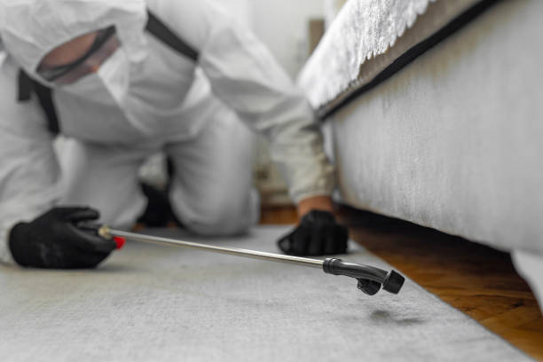 Professional Bed Bug Control technician working in Absecon Highlands, NJ