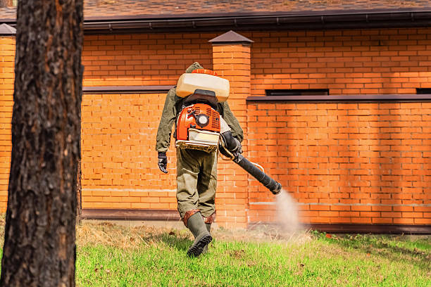 Trusted Cockroach Control service in Absecon Highlands, NJ - Nex Pest Control